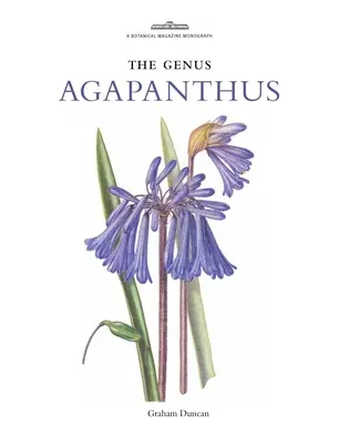 Rod Agapanthus - Genus Agapanthus