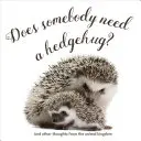 Potrebuje niekto objatie? - Does Somebody Need a Hedgehug?