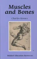 Svaly a kosti: Zdroje waldorfského vzdelávania - Muscles and Bones: Waldorf Education Resources