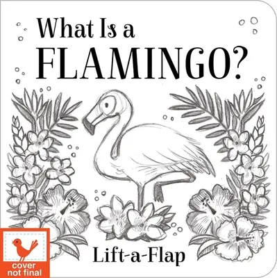 Čo je plameniak? - What Is a Flamingo?
