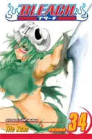 Bleach, zv. 34, 34 - Bleach, Vol. 34, 34