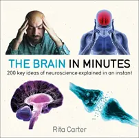 Mozog za pár minút: 200 kľúčových myšlienok neurovedy vysvetlených v priebehu okamihu - The Brain in Minutes: 200 Key Ideas of Neuroscience Explained in an Instant