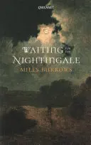 Čakanie na slávika - Waiting for the Nightingale