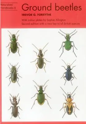 Pozemské chrobáky - Ground beetles