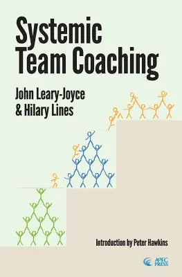 Systémový tímový koučing - Systemic Team Coaching