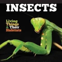 Hmyz - Insects