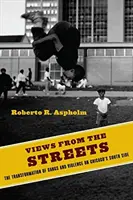 Pohľady z ulíc: Premeny gangov a násilia v južnej časti Chicaga - Views from the Streets: The Transformation of Gangs and Violence on Chicago's South Side