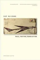 Rasa, národ, preklad: Juhoafrické eseje, 1990 - 2013 - Race, Nation, Translation: South African Essays, 1990-2013