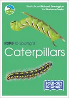 RSPB ID Spotlight - Húsenice - RSPB ID Spotlight - Caterpillars