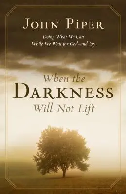 Keď sa temnota nezdvíha: Robiť, čo môžeme, kým čakáme na Boha - a radosť - When the Darkness Will Not Lift: Doing What We Can While We Wait for God--And Joy