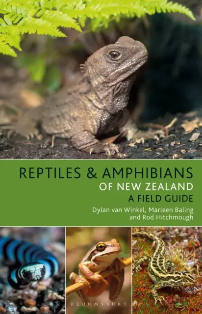 Plazy a obojživelníky Nového Zélandu - Reptiles and Amphibians of New Zealand