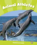 Úroveň 4: Zvierací športovci CLIL - Level 4: Animal Athletes CLIL