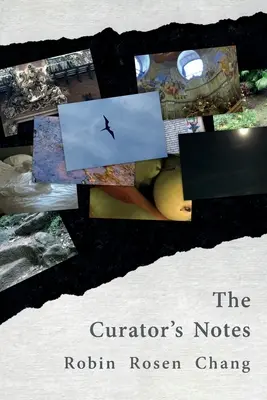 Poznámky kurátora - The Curator's Notes