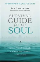 Príručka prežitia pre dušu: Ako duchovne prekvitať vo svete, ktorý nás núti dosahovať úspechy - Survival Guide for the Soul: How to Flourish Spiritually in a World That Pressures Us to Achieve