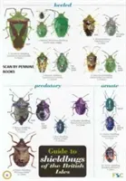 Sprievodca štítonošmi Britských ostrovov - Guide to Shieldbugs of the British Isles