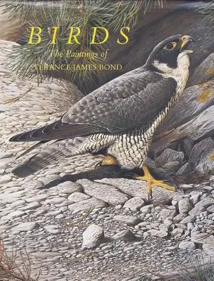 Vtáky - Birds