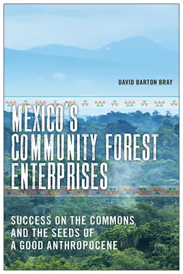 Mexické lesné podniky spoločenstva: Úspech v spoločenstve a semená dobrého antropocénu - Mexico's Community Forest Enterprises: Success on the Commons and the Seeds of a Good Anthropocene