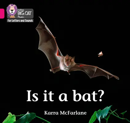 Je to netopier? - Kapela 01b/Ružová B - Is it a Bat? - Band 01b/Pink B