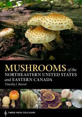 Huby severovýchodu Spojených štátov a východnej Kanady - Mushrooms of the Northeastern United States and Eastern Canada