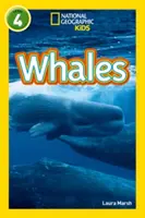 Veľryby - úroveň 4 - Whales - Level 4