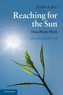 Siahanie po slnku: Ako fungujú rastliny - Reaching for the Sun: How Plants Work