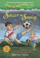 Futbal v nedeľu - Soccer on Sunday