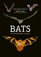 Netopiere - ilustrovaný sprievodca všetkými druhmi - Bats - An illustrated guide to all species