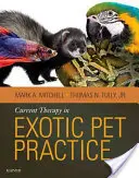 Súčasná terapia v praxi exotických zvierat - Current Therapy in Exotic Pet Practice