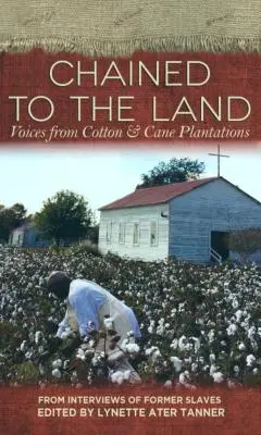 Pripútaný k zemi: Hlasy z bavlníkových a trstinových plantáží - Chained to the Land: Voices from Cotton & Cane Plantations