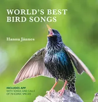 Najlepšie vtáčie piesne na svete - World's Best Bird Songs