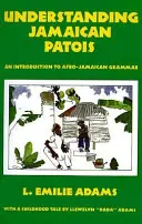 Porozumieť jamajskému patoju: Úvod do afro-jamajskej gramatiky - Understanding Jamaican Patois: An Introduction to Afro-Jamaican Grammar
