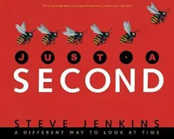 Len sekundu - Just a Second