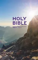 Biblia NIV Thinline Value Hardback - NIV Thinline Value Hardback Bible