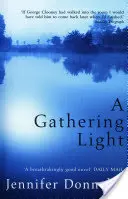 Zhromažďovanie svetla - Gathering Light