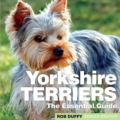 Yorkshirskí teriéri: Základná príručka - Yorkshire Terriers: The Essential Guide