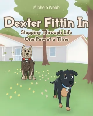 Dexter Fittin In: Stepping Through Life One Paw at a Time