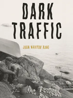 Dark Traffic: Básne - Dark Traffic: Poems
