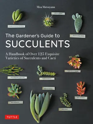 Sprievodca záhradníka po sukulentoch: Príručka viac ako 125 nádherných odrôd sukulentov a kaktusov - The Gardener's Guide to Succulents: A Handbook of Over 125 Exquisite Varieties of Succulents and Cacti