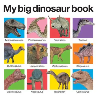 Moja veľká kniha o dinosauroch - My Big Dinosaur Book