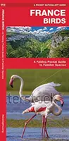 Vtáky Francúzska - Skladací vreckový sprievodca známymi druhmi - France Birds - A Folding Pocket Guide to Familiar Species
