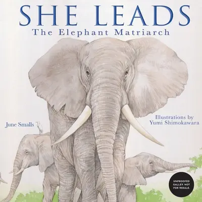 Ona vedie: Matriarcha slonov - She Leads: The Elephant Matriarch