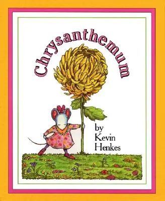 Chryzantéma - Chrysanthemum