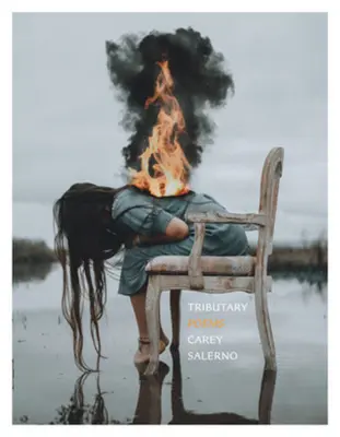 Prítok: Básne - Tributary: Poems