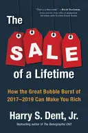 Životný predaj: Ako môžete zbohatnúť na veľkej bubline v rokoch 2017-2019 - The Sale of a Lifetime: How the Great Bubble Burst of 2017-2019 Can Make You Rich