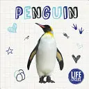 Tučniak - Penguin