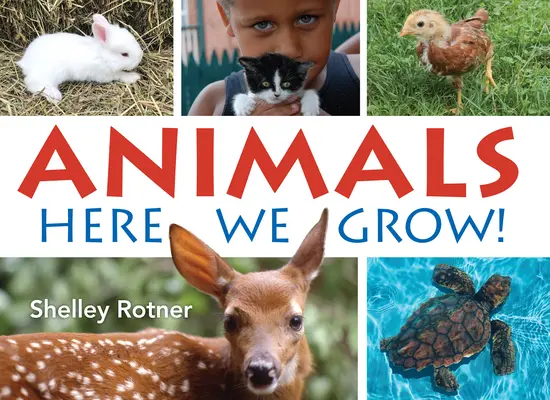 Zvieratá! Tu rastieme - Animals!: Here We Grow