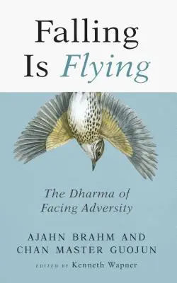 Padanie je lietanie, 1: Dharma čelenia nepriazni osudu - Falling Is Flying, 1: The Dharma of Facing Adversity