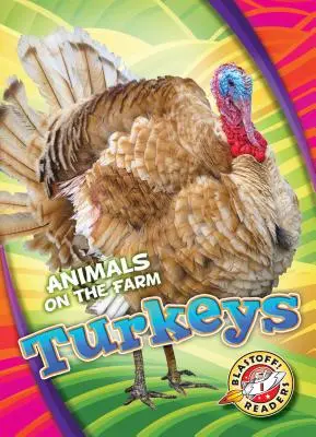 Morské korytnačky - Turkeys