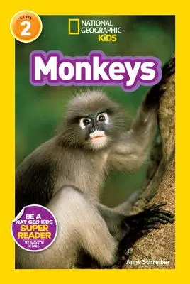 Opice - Monkeys