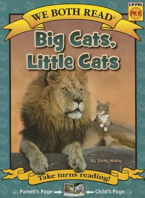 Obaja čítame-Veľké mačky, malé mačky (Pb) - literatúra faktu - We Both Read-Big Cats, Little Cats (Pb) - Nonfiction